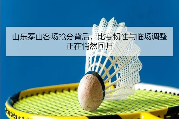 山东泰山客场抢分背后，比赛韧性与临场调整正在悄然回归 - lansedaoh